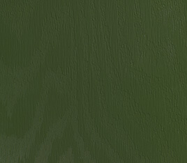 Duck Green